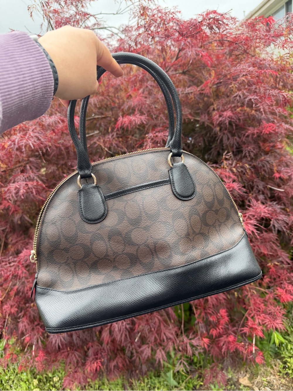 Coach Brown Signature Dome Satchel with Black Trim and Gold Accent - Picture 2 of 9